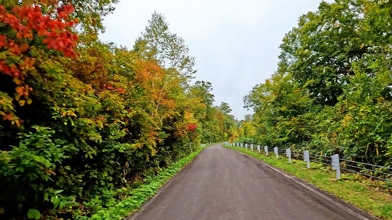 秋の志賀高原をドライブ　蓮池からR502 奥志賀スーパー林道で野沢温泉まで  Driving along beautiful mountain roads in Nagano in autumn