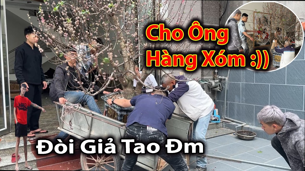Hoàng Em Cay Cú Bị Ae Team Cho Ông Hàng Xóm Cây Đào Ăn Tết...