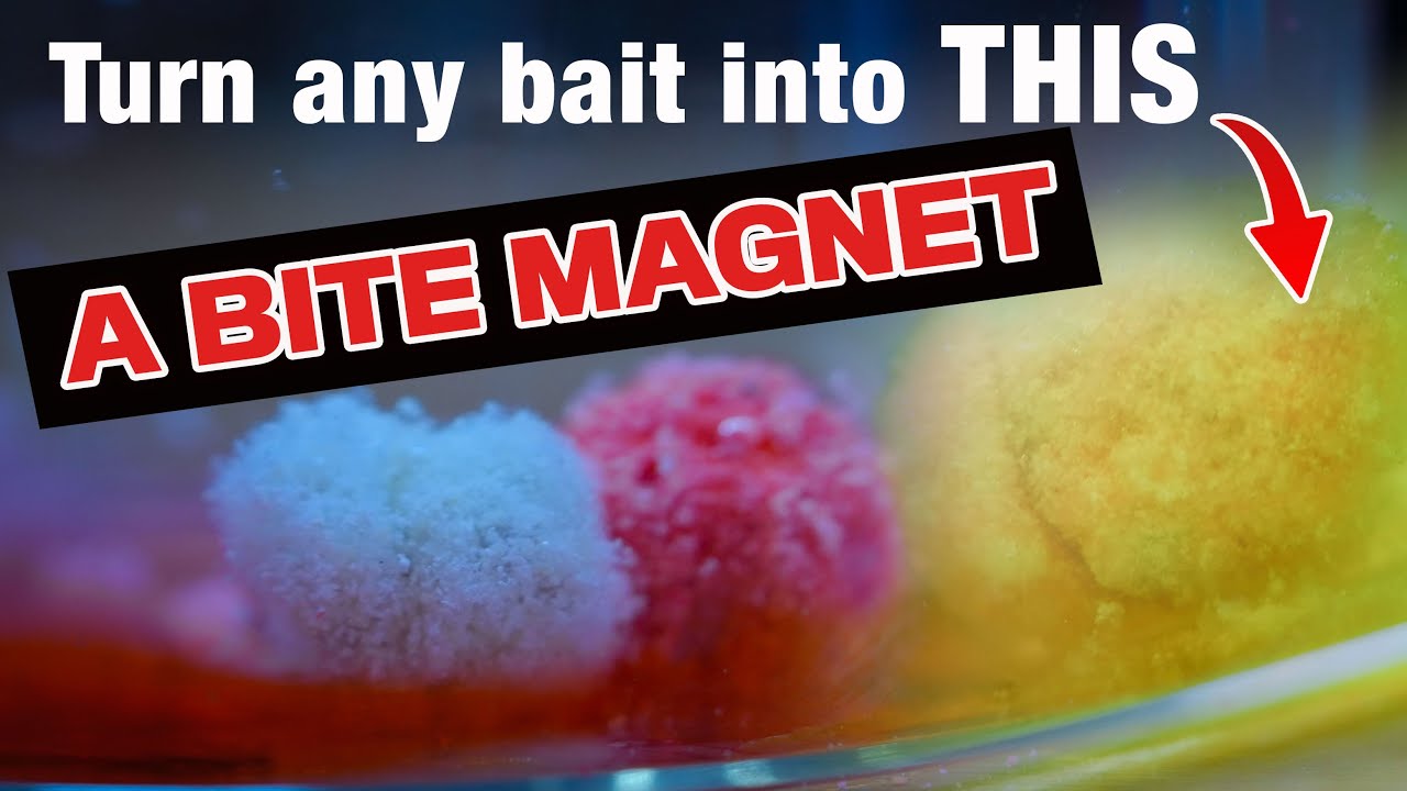 Test this NEW prototype fishing bait first