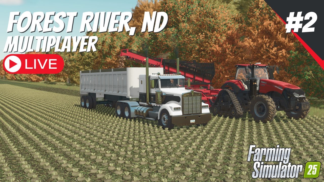 LIFTING BEETS | FOREST RIVER MULTIPLAYER