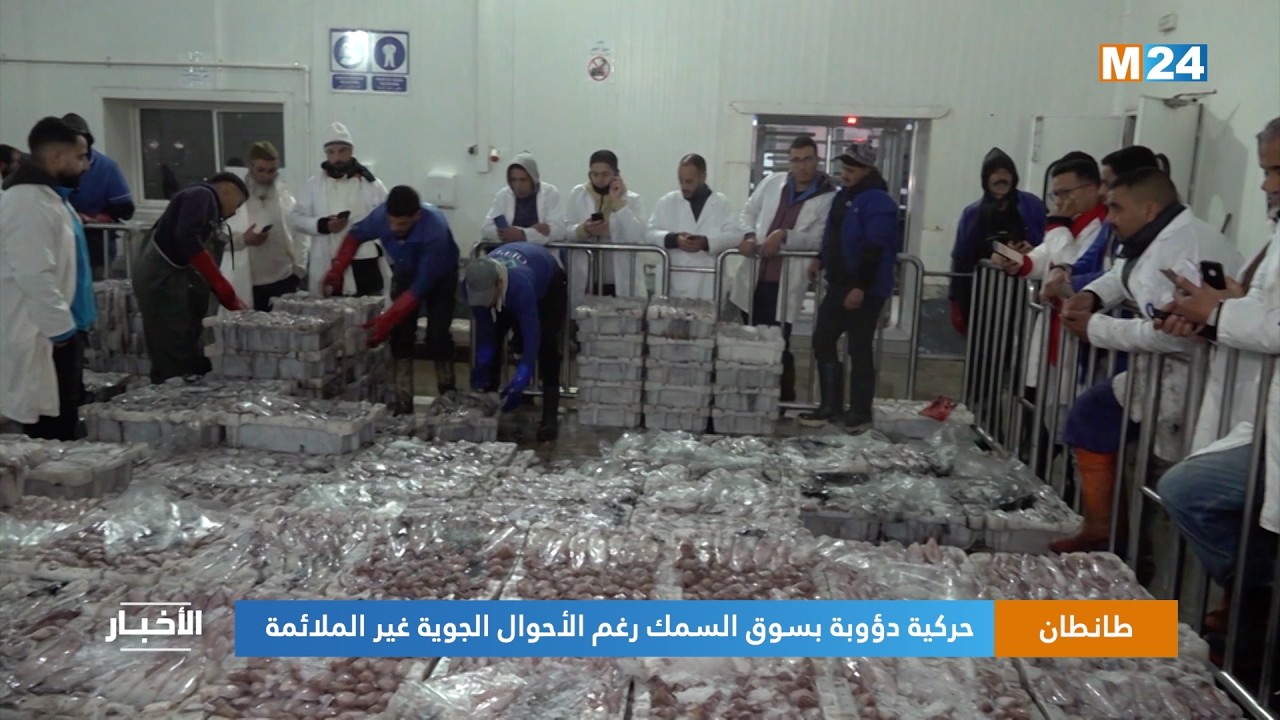 طانطان.. حركية دؤوبة بسوق السمك رغم الأحوال الجوية غير الملائمة