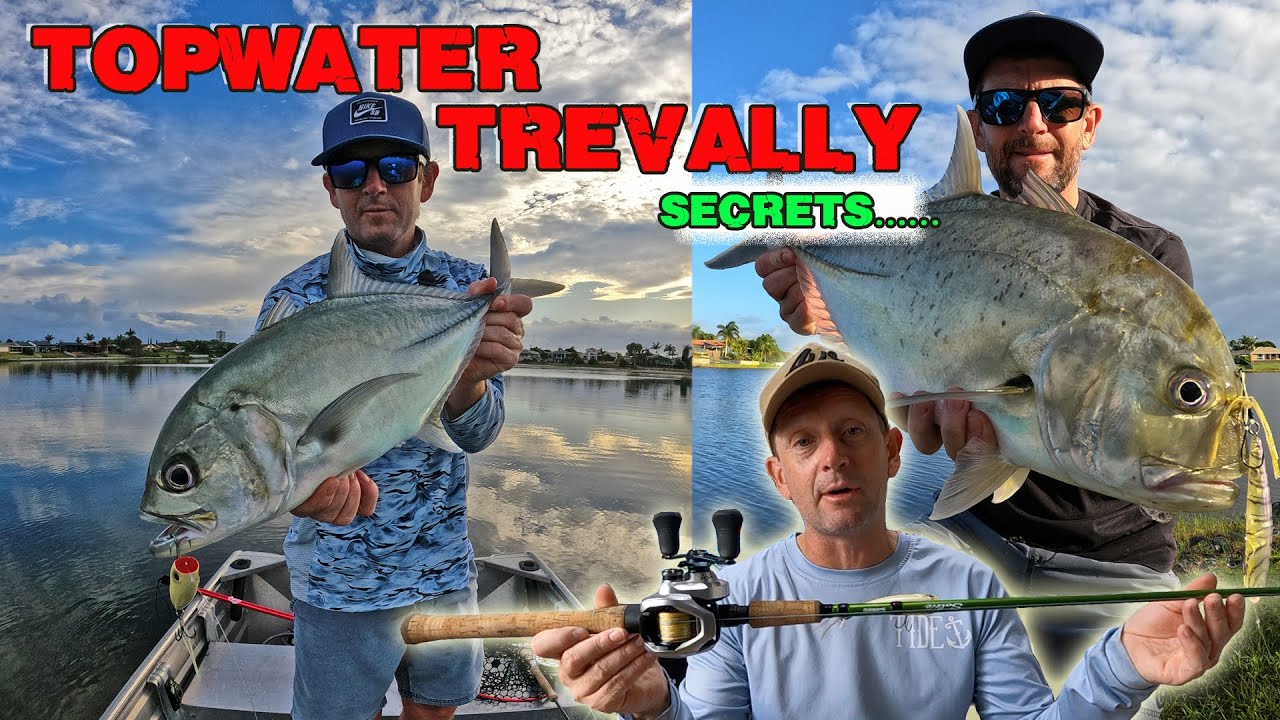 How to catch topwater Trevally -  tips , tackle , techniques  - Gold Coast Fishing