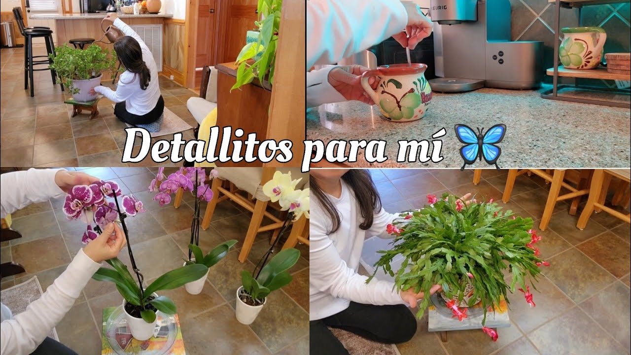 ✨️Limpieza y Paz en mi Jardín Interior🌱🦋/ Decoración Natural/ Desayuno con Camote o Batata/ Vlog