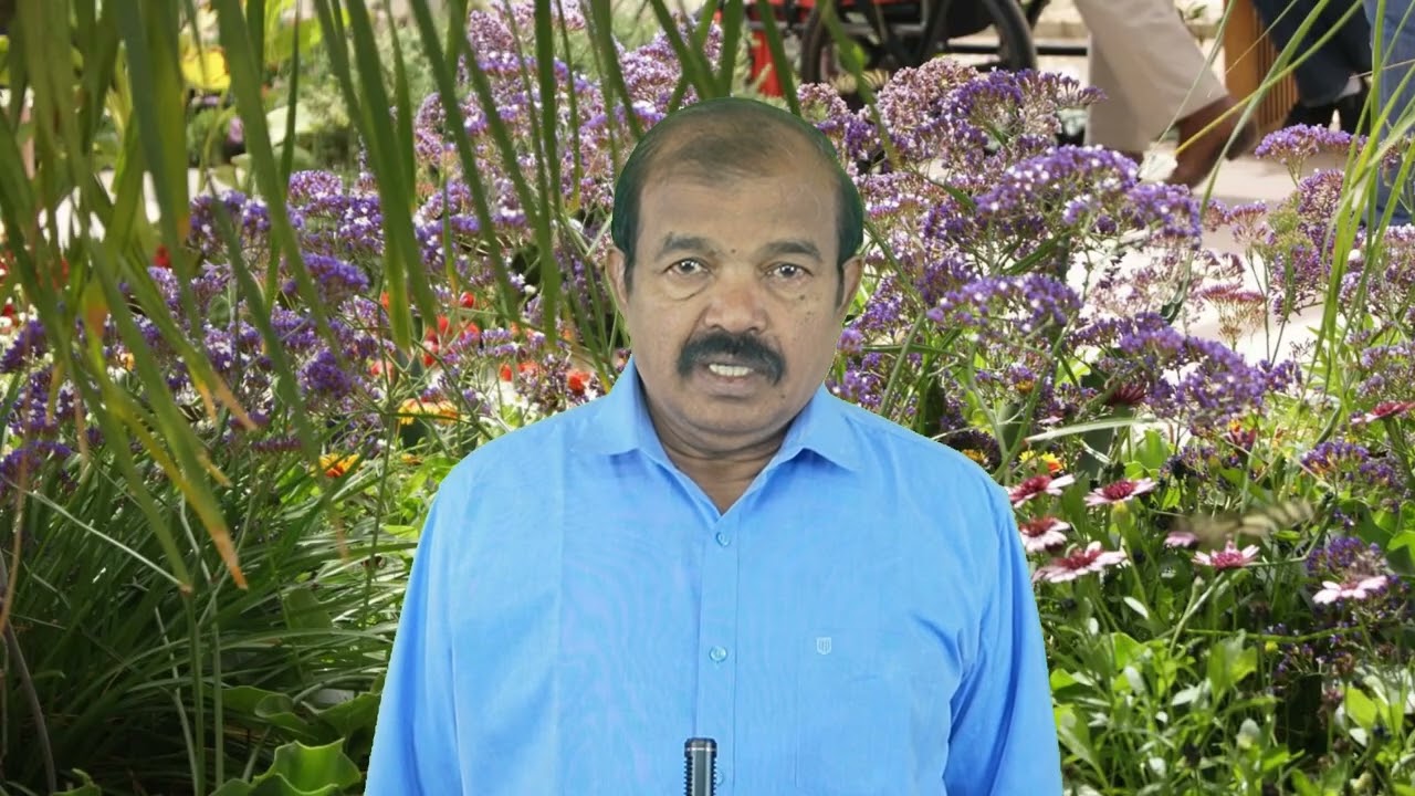 சிவப்பு எப்படி வெண்மையாகும்