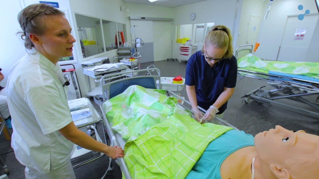 Simulation case &ndash; Welfare Simulation Center SAMK