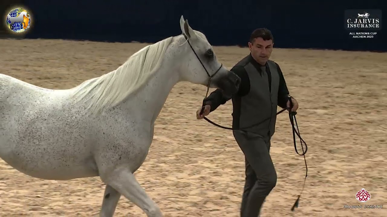 39th All Nations Cup Aachen 2023   Class 9