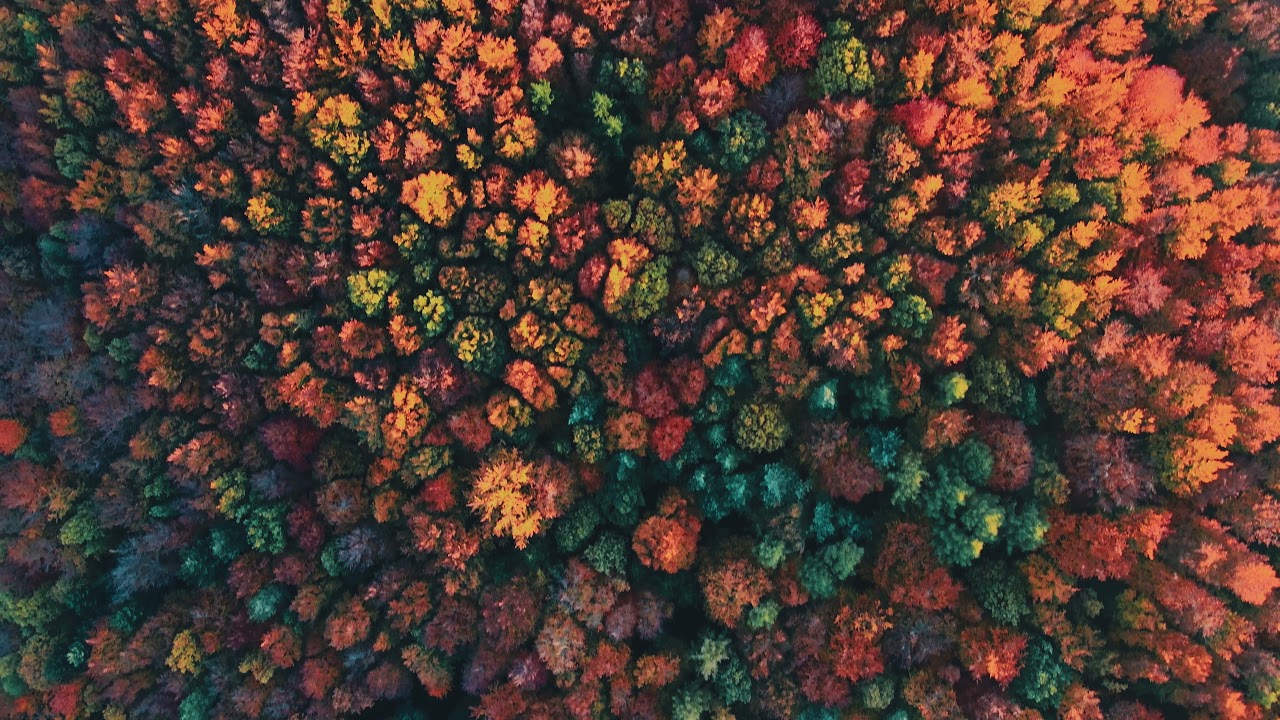 Morning Autumn, Austria 2021. Drone cinematic aerial footage by roki.