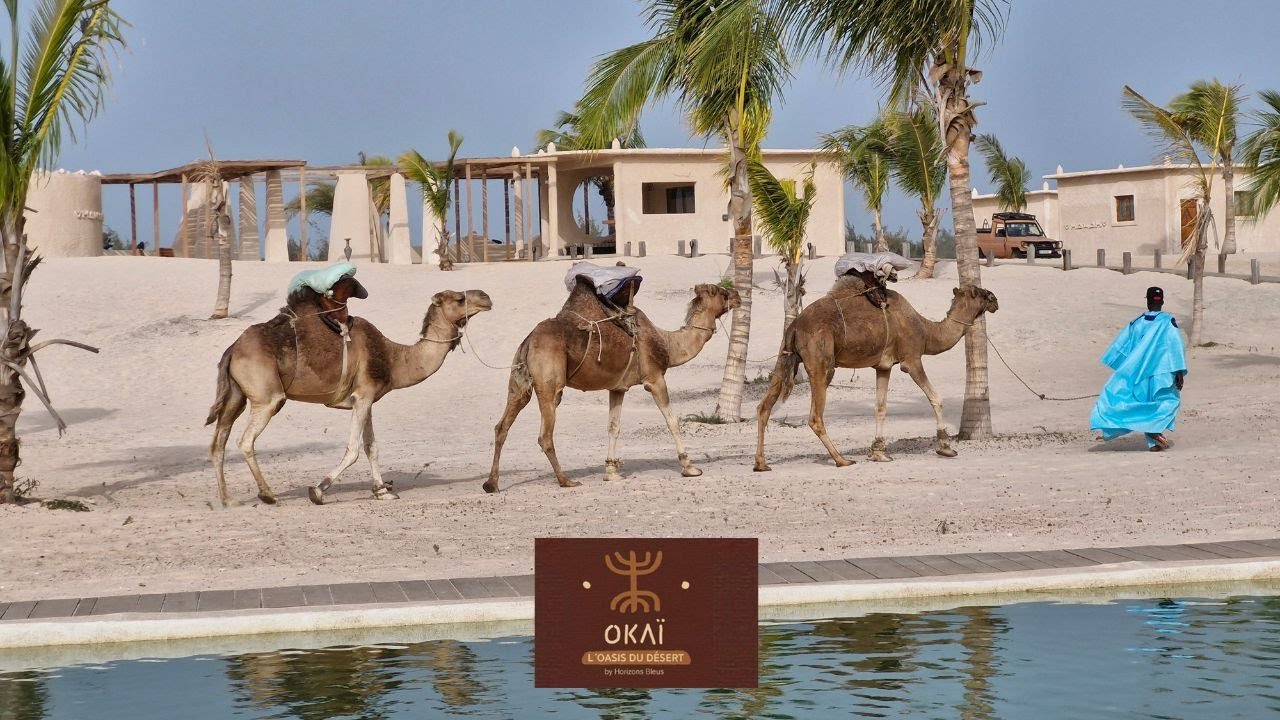 Ouverture Hotel Oasis Okai