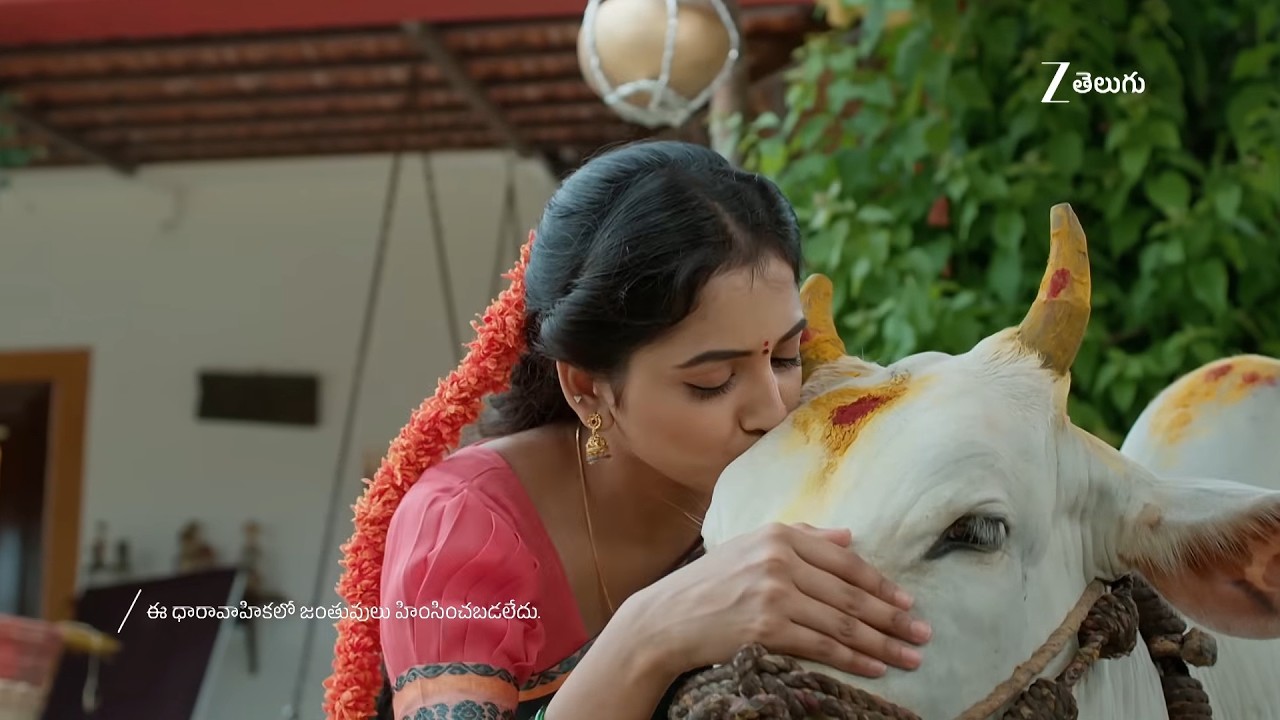 Lakshmi Raave Maa Intiki - Full Ep - 1 - Harsh Nagpal, Darshini Gowda, Meer - Zee Telugu