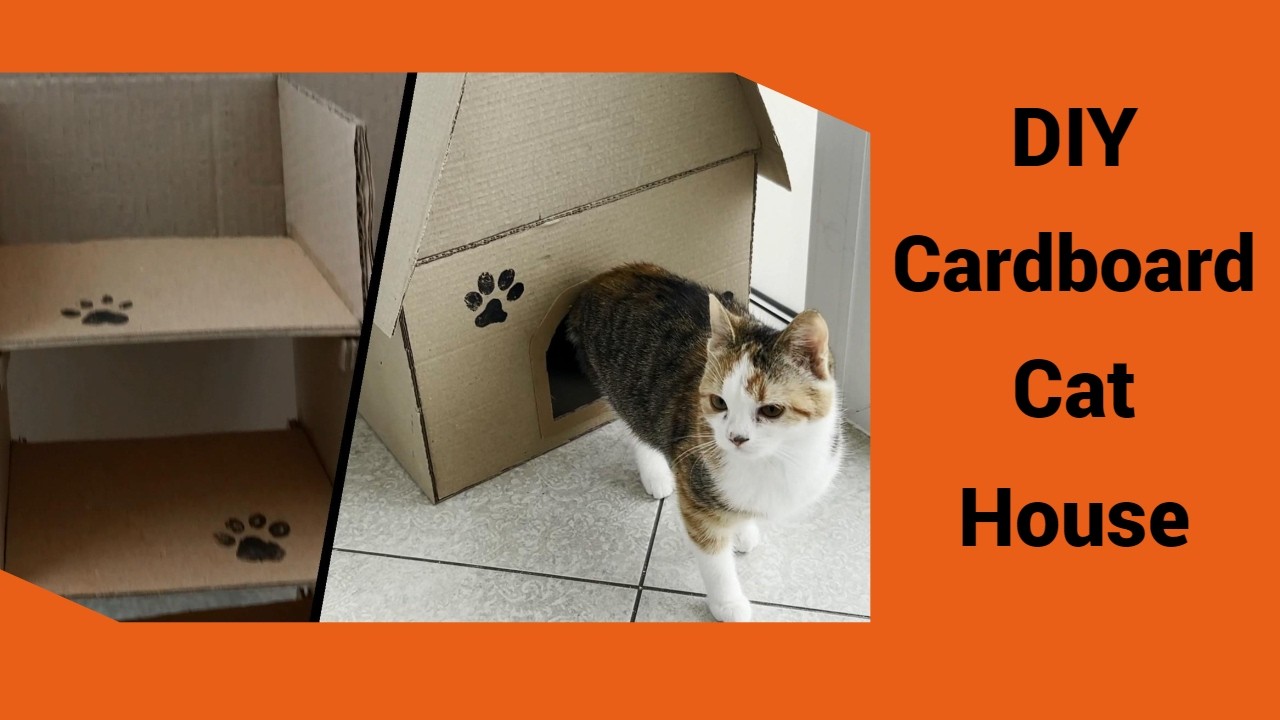 DIY Cardboard Cat House with two Entrances & Ladder