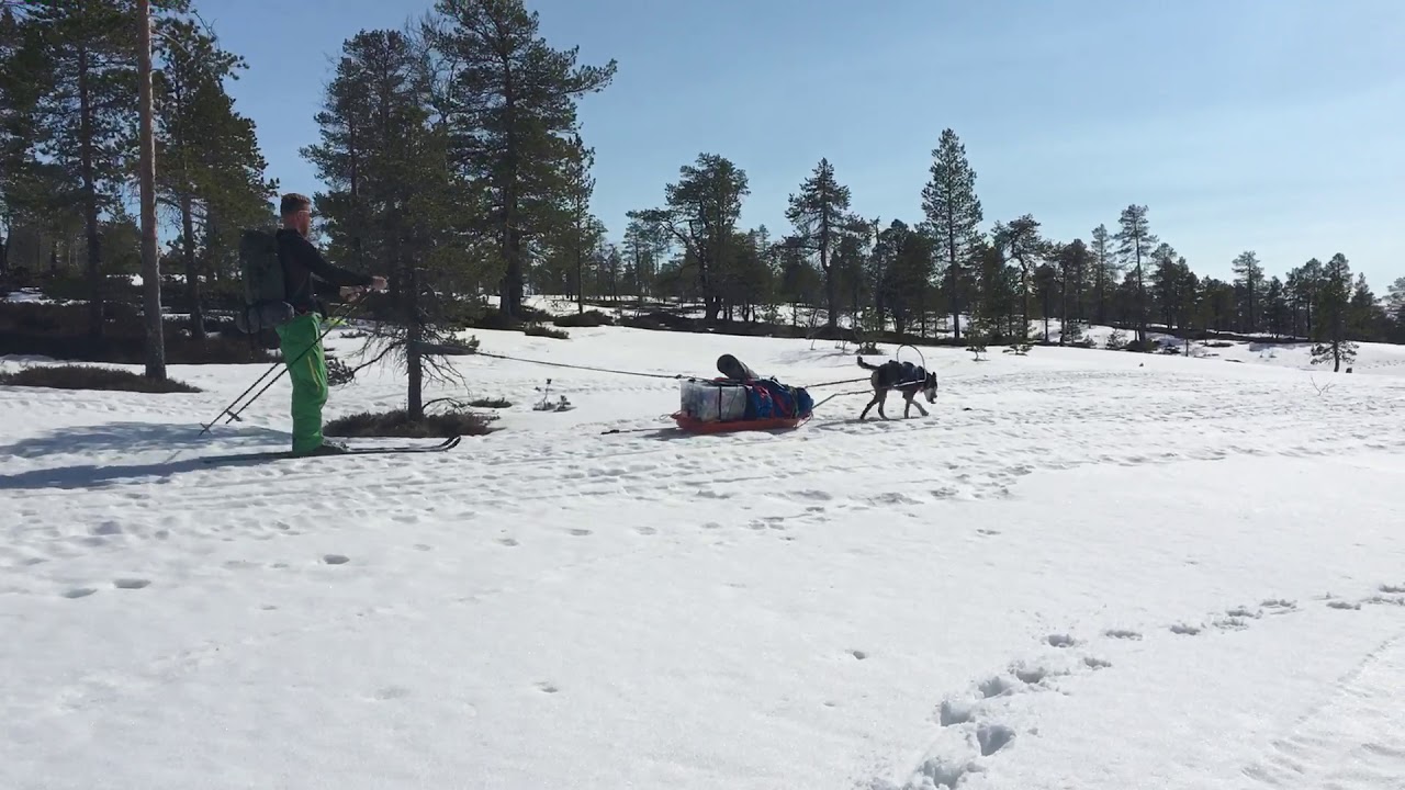 P&aring;sketur