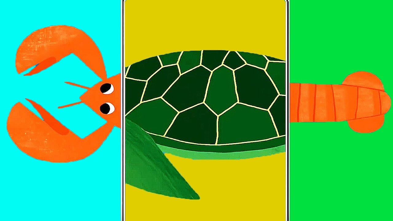 Animals Match Up - Children Play & Learn The Names Of Sea Animals - Fun Educational Baby Games