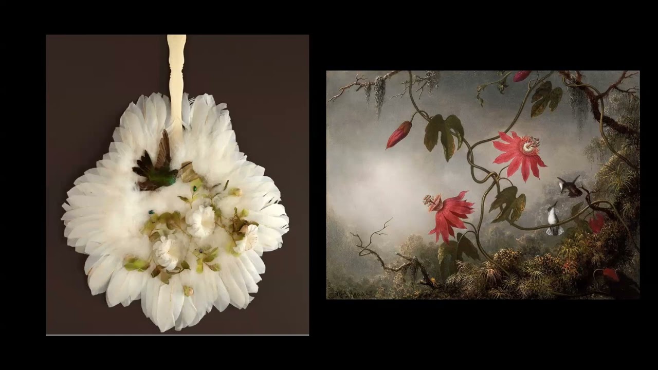Art of Birds: Martin Johnson Heade's Gems of Brazil: Hummingbird Paintings & the Feather Industry