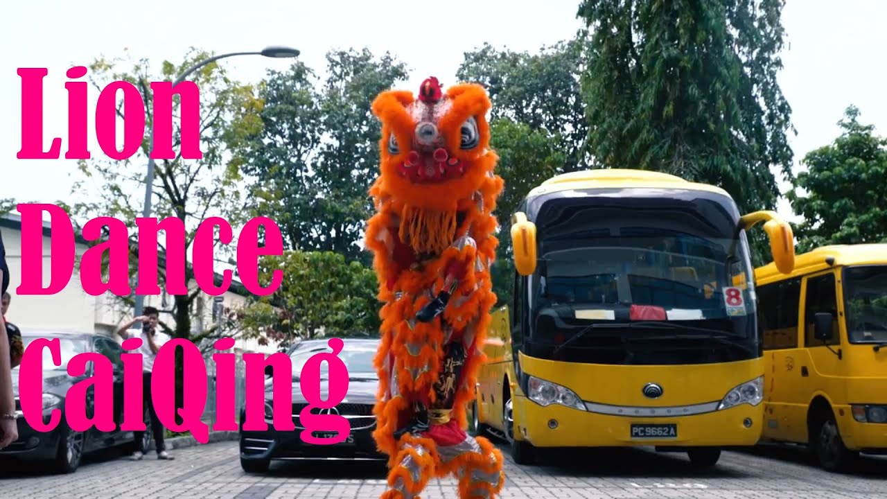 Lion Dance Singapore Opening Ceremony Performance Full Video - Twins Lions Plucking the Green.