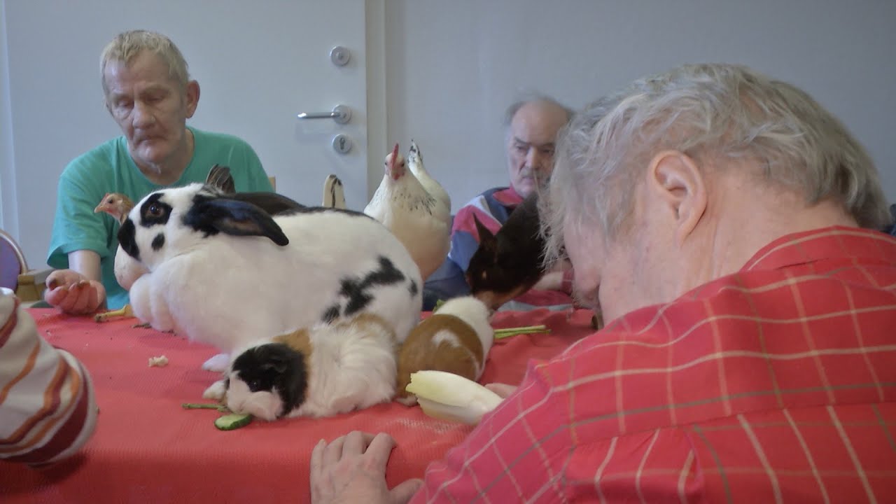 Tierisches Glück - Trostspender im Pflegeheim