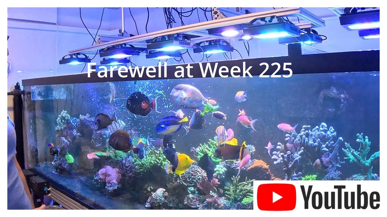 Farewell