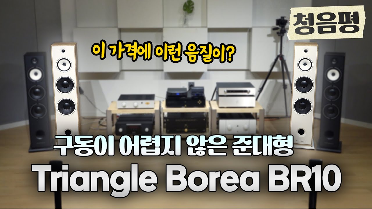 준 대형급 스피커를 이렇게 잘 만들줄 몰랐다!! 이 가격에 이정도 크기에 이정도 음질이 가능하다니!! 구동도 어렵지 않고 음질도 훌륭하다!!  트라이앵글 BOREA BR10