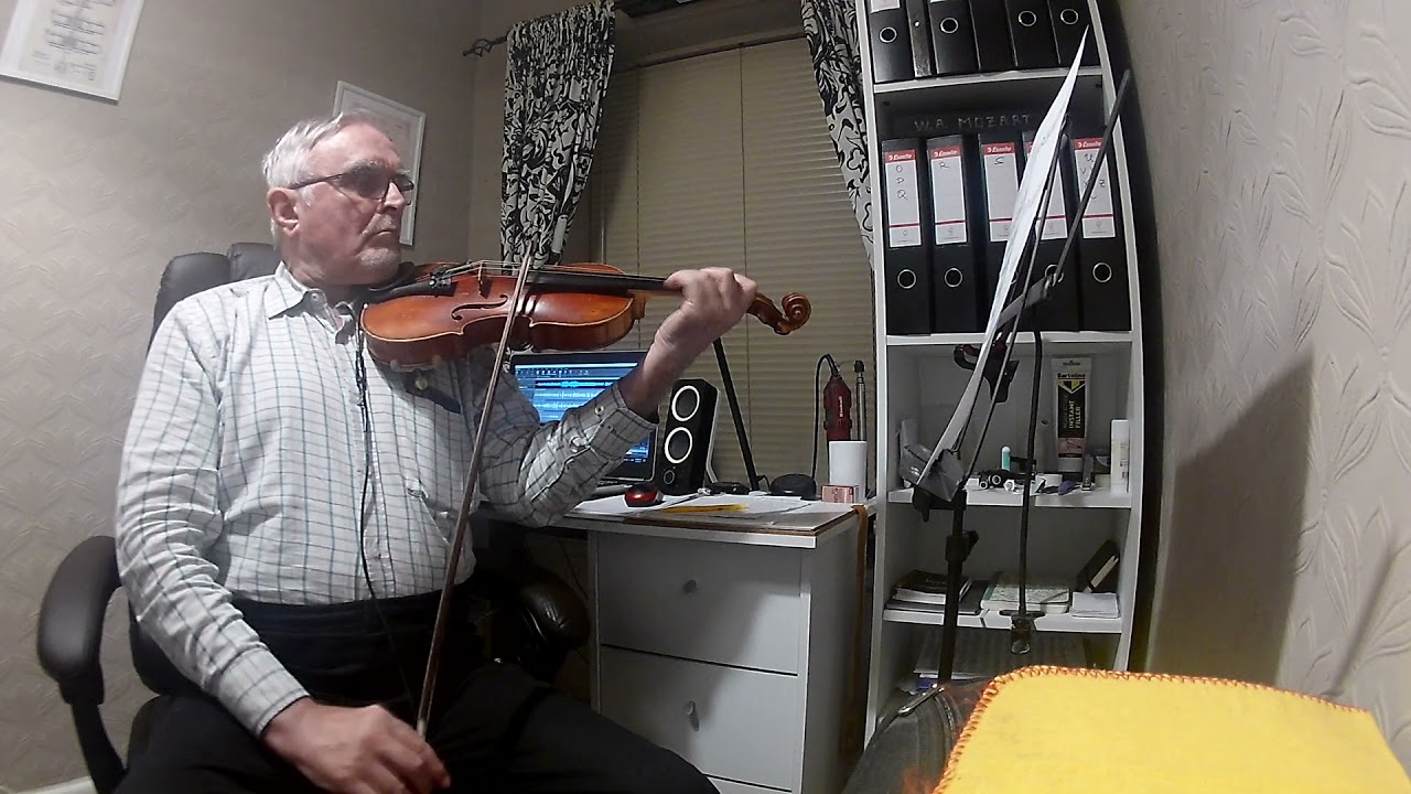 Noble Pope Jojo's Bizarre Adventure Stardust Crusaders Arr. by Fife_