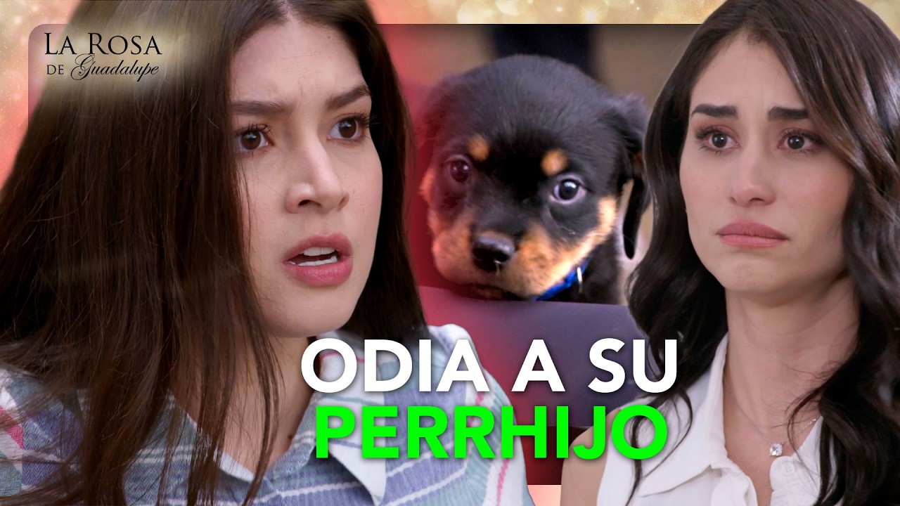 Alma descubre que la NOVIA de Diego es muy MALA con el pobre Toby | UN SUEÑO DE DOS 4/4 | LRDG