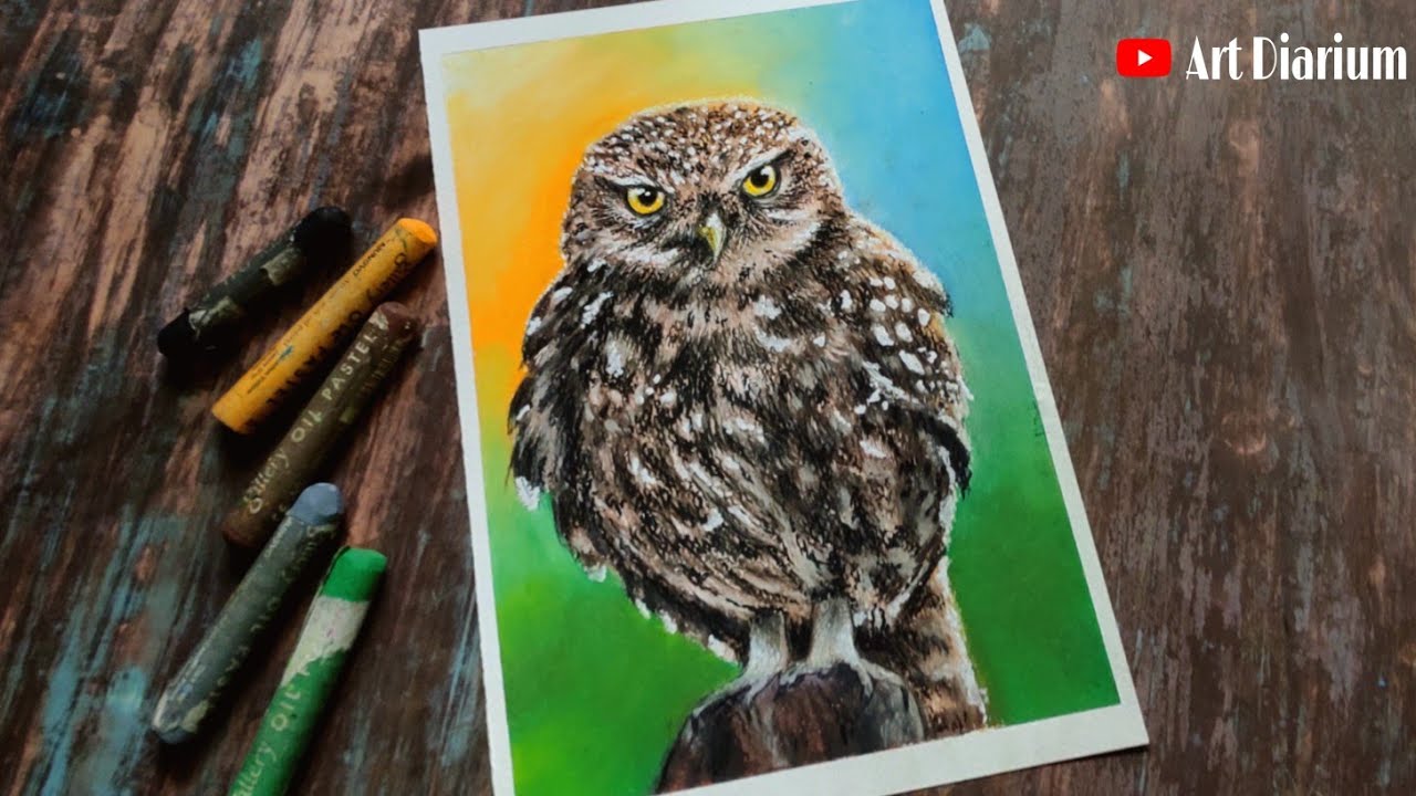 Owl drawing with Oil Pastel - Step by step