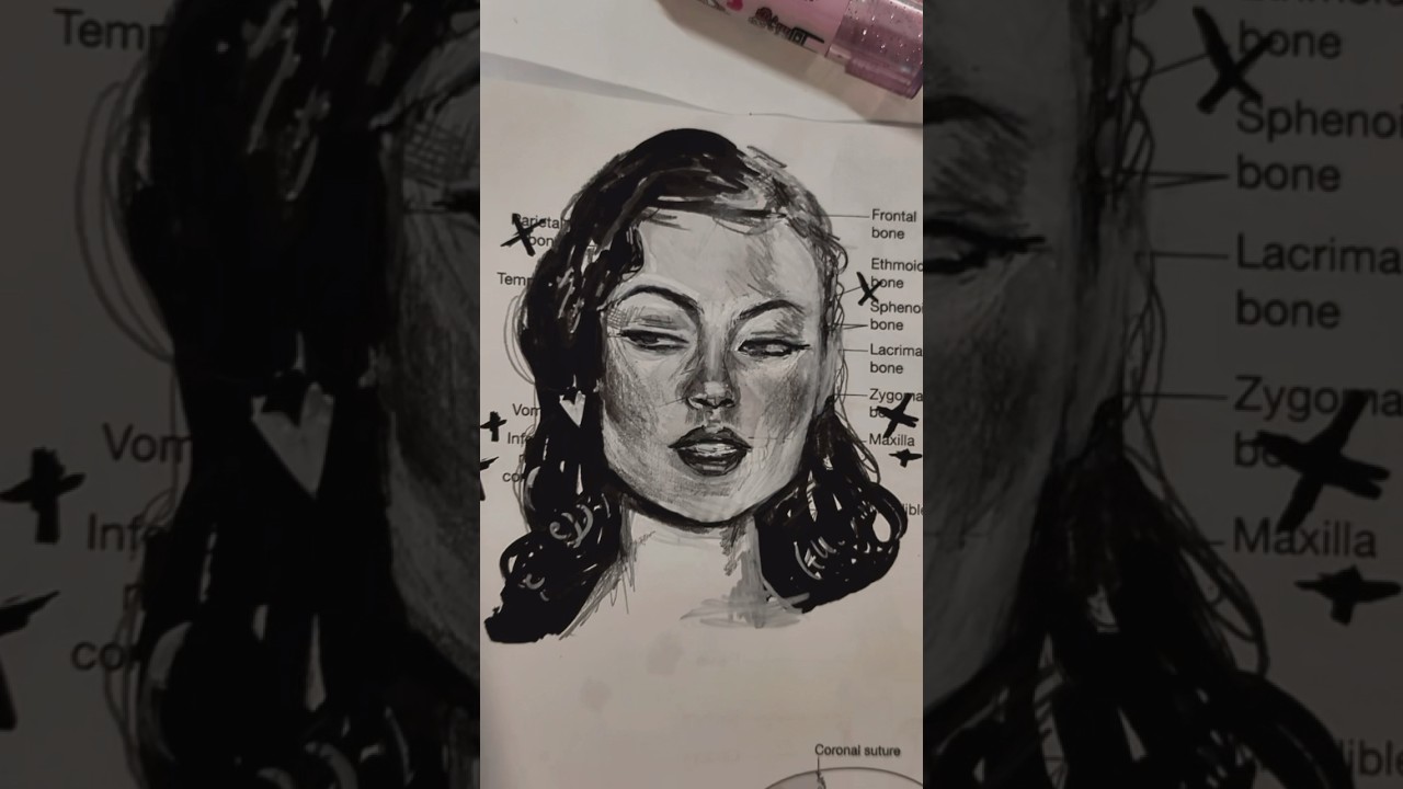 POV: you&rsquo;re an artist in medical school ☠️✨#shalomharlow #creative