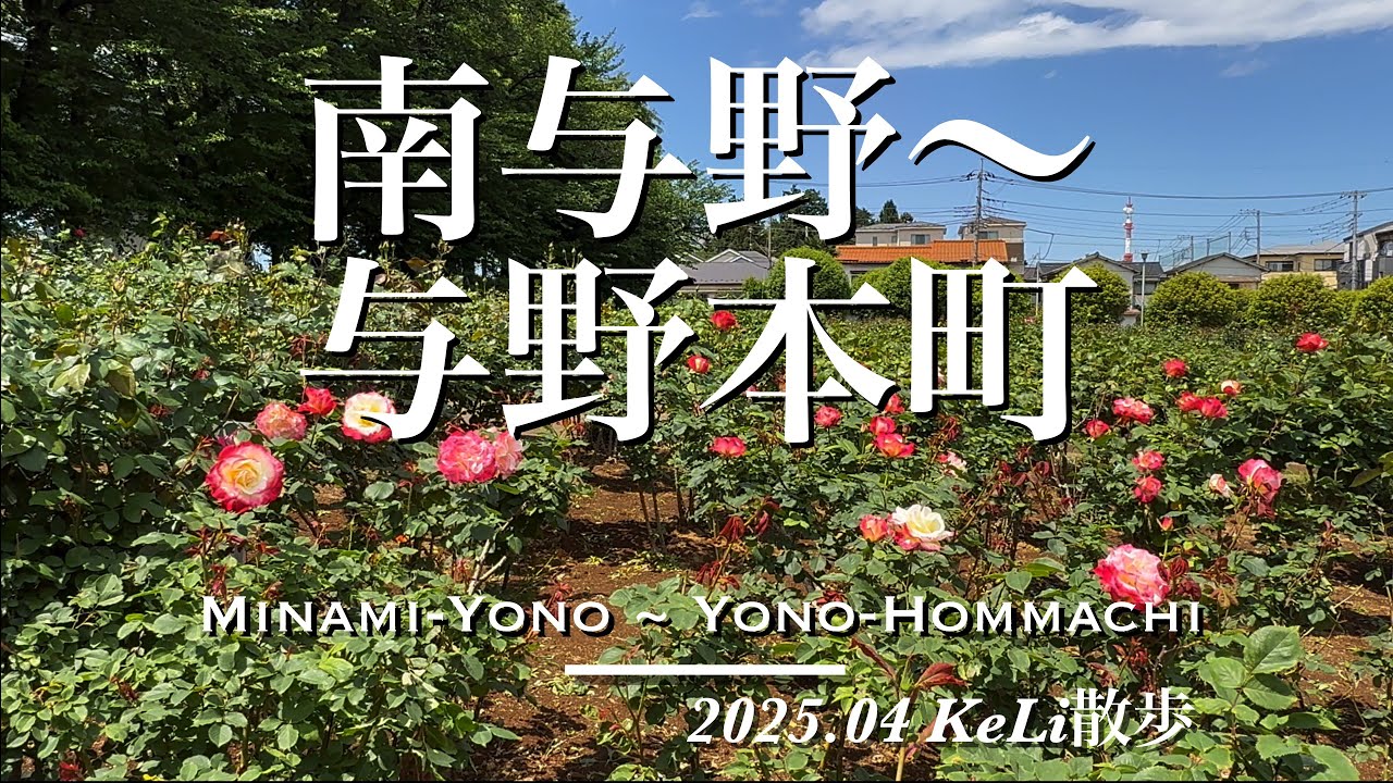 【4K】バラと芸術とグルメの街！南与野駅から与野本町駅までお散歩しました！Walking from Minami-Yono Sta. to Yono-Hommachi Sta.!