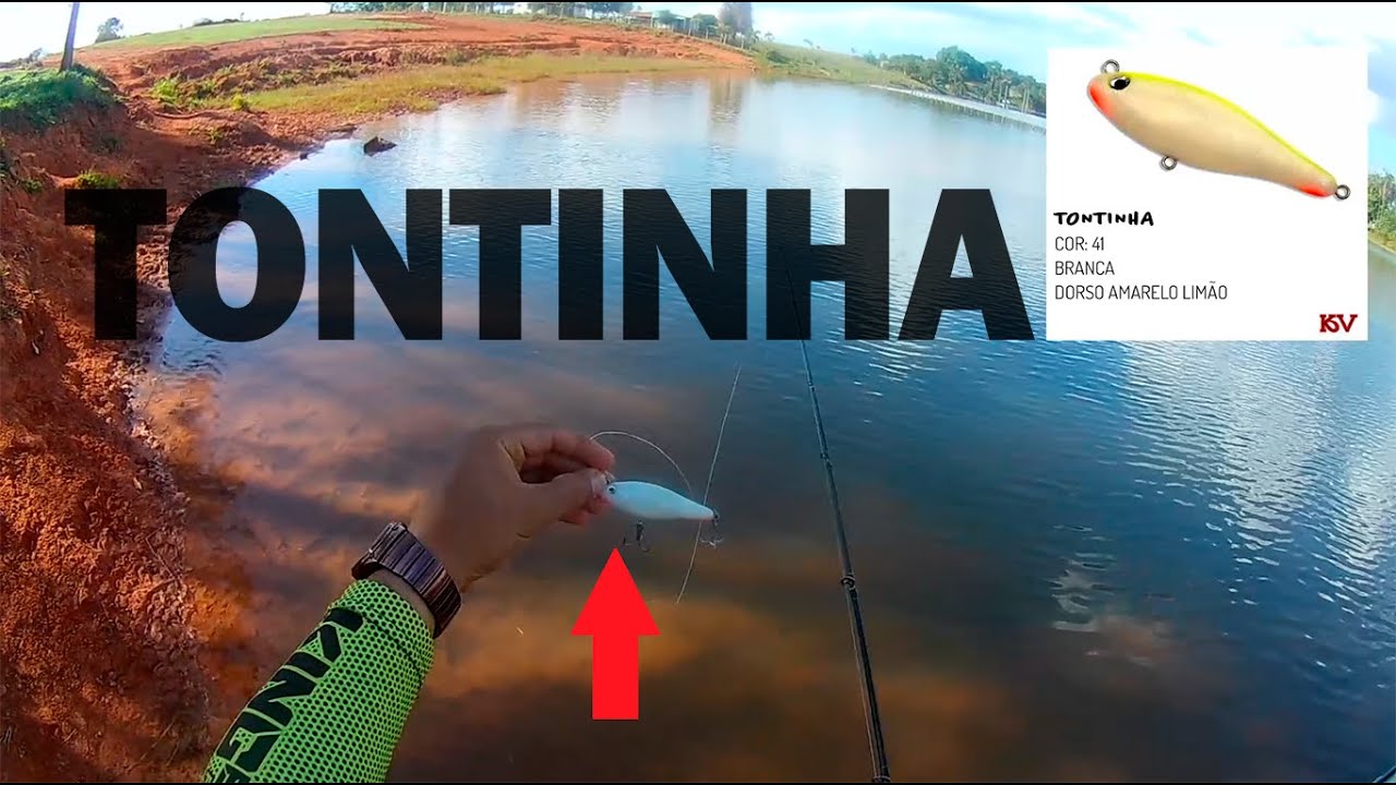 ISCA BOA E BARATA TWITCH BAIT! TONTINHA.