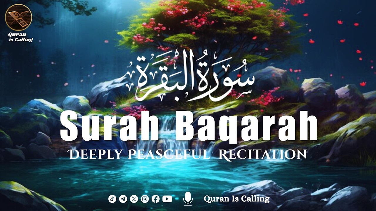 Surah Baqarah Surat Baqarah | سورة البقرة | Quran is Calling