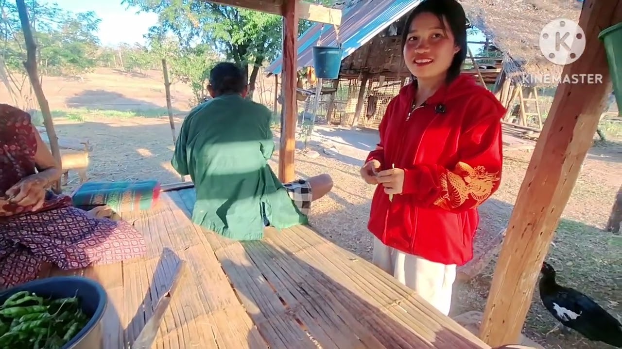 น้องน้อยต้องเดินเท้าไปเอาไฟเพราะ15 มกราคม ค.ศ. 2026