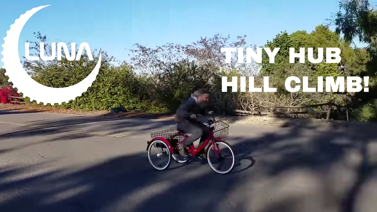 Luna Double Geared / Double Torque Hub  Motor Hill Climbing Test