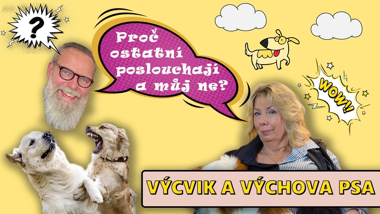 Prozradíme vám tajemství výchovy a výcviku psa