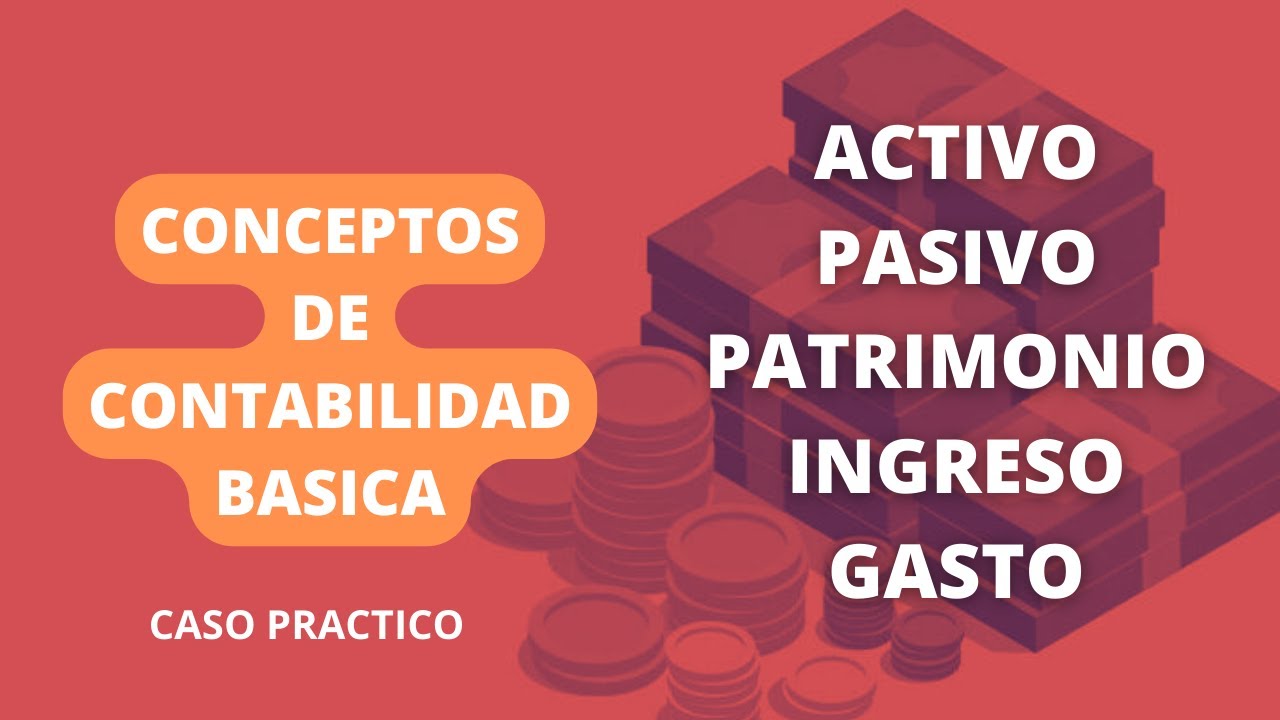 Concepto de contabilidad básica, activos, pasivos, patrimonio, ingresos y gastos