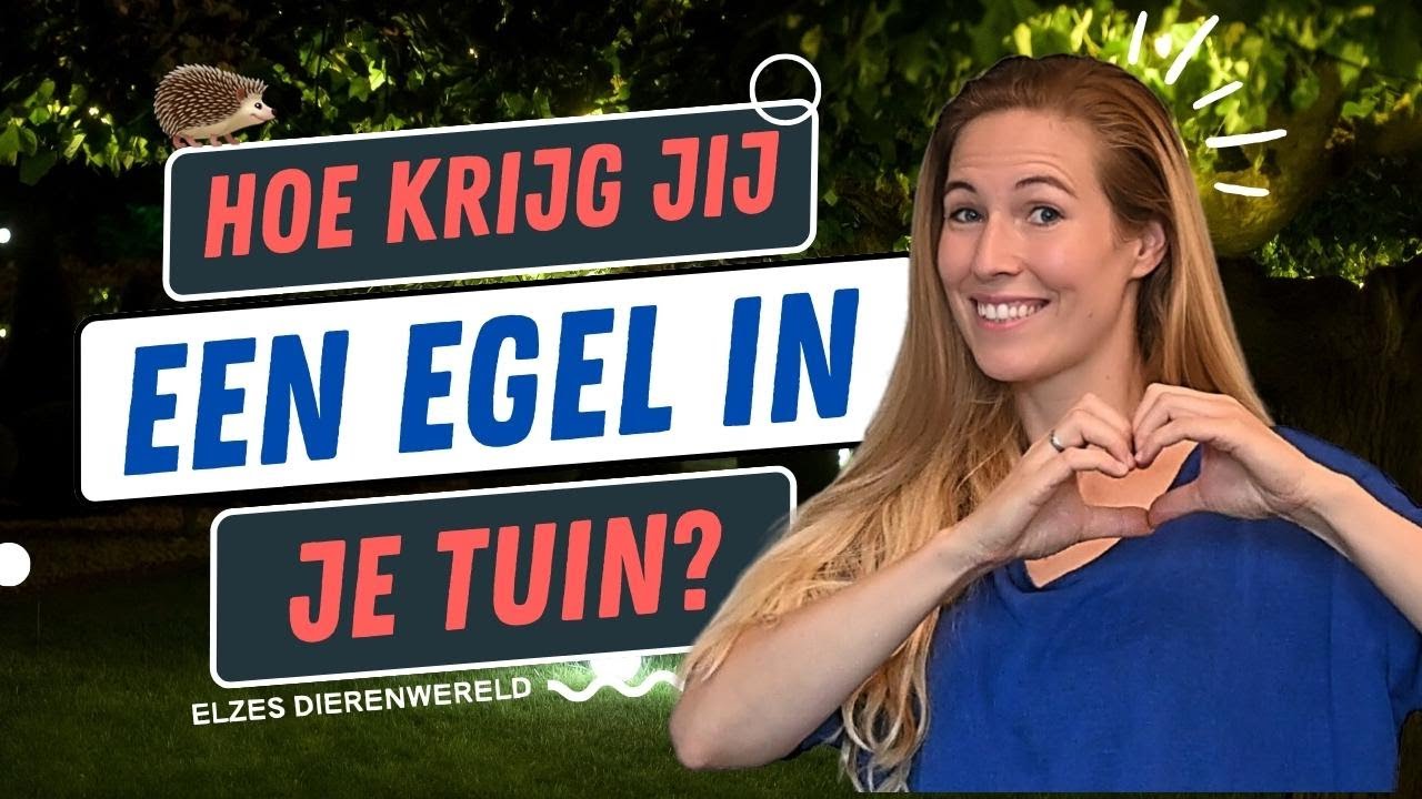 🦔 HOE KRIJG JE EEN EGEL IN JE TUIN?  Ultieme Egelgids + DIY Egelhuisje!
