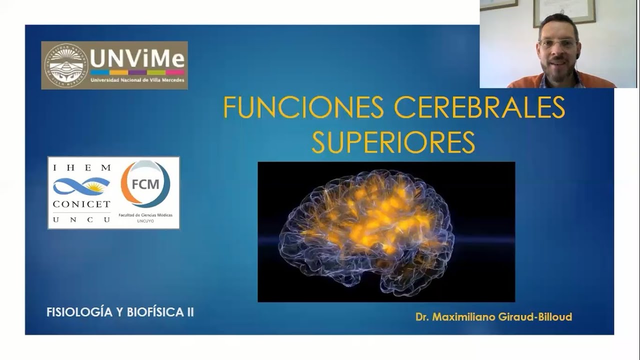 Neurofisiología: Funciones superiores