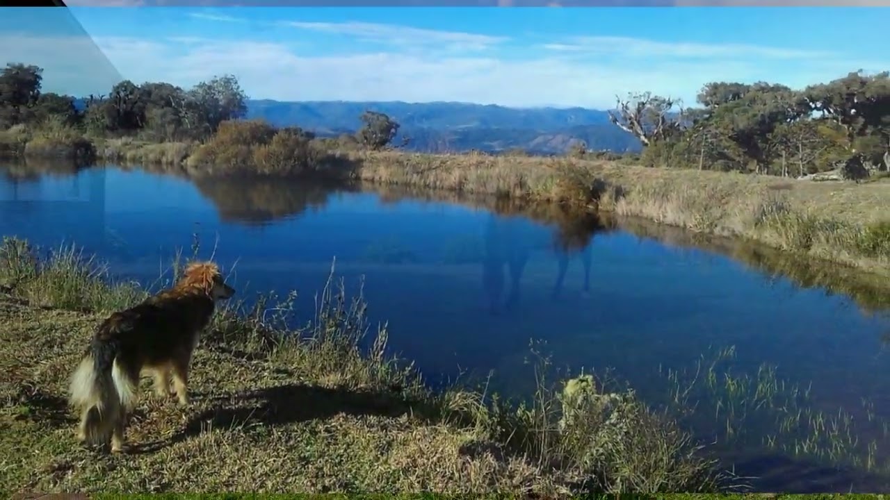 Sítio com vista de ponto turístico à venda em Urubici - Serra Catarinense