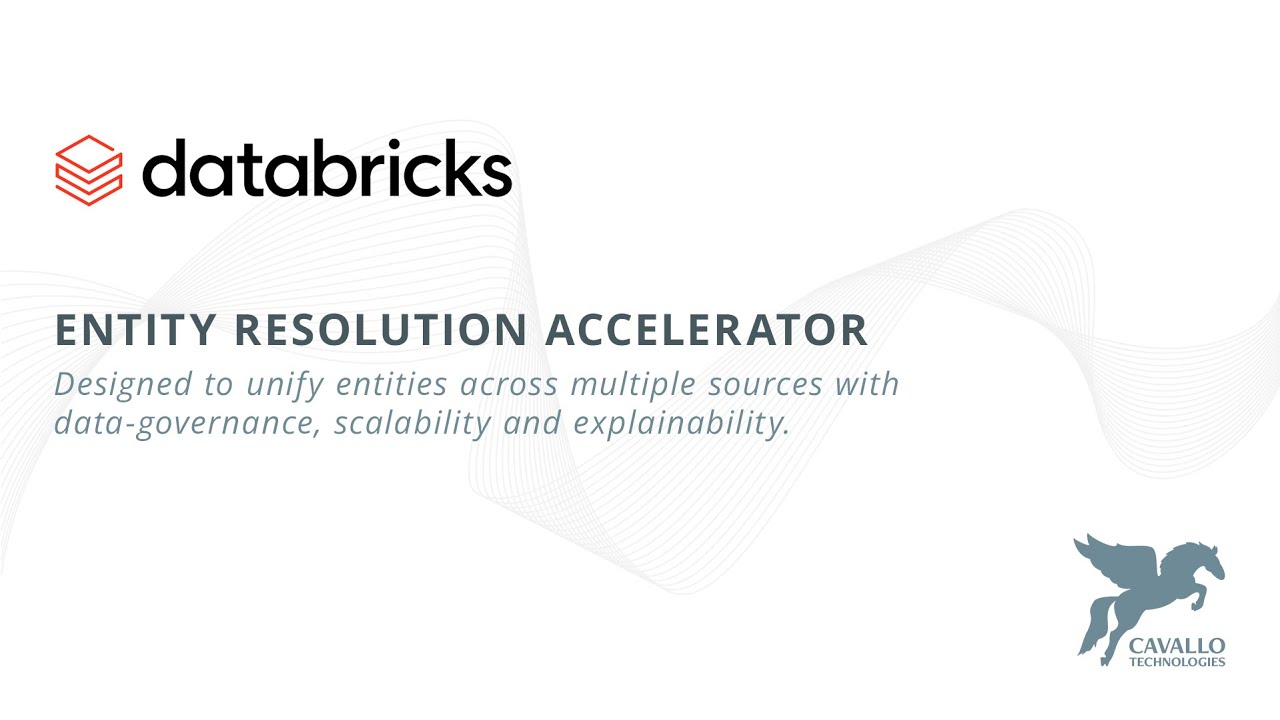 Cavallo Technologies - Entity Resolution Accelerator Demo