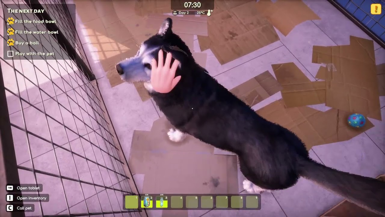 I Helped Pets in Animal Shelter 2