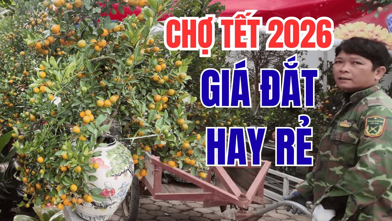 Cận Cảnh Giá Hoa Tết 2026 Ở Thái Nguyên - Muôn Vàn Loài Hoa, Cây Cảnh – Năm Nay Đắt Hay Rẻ