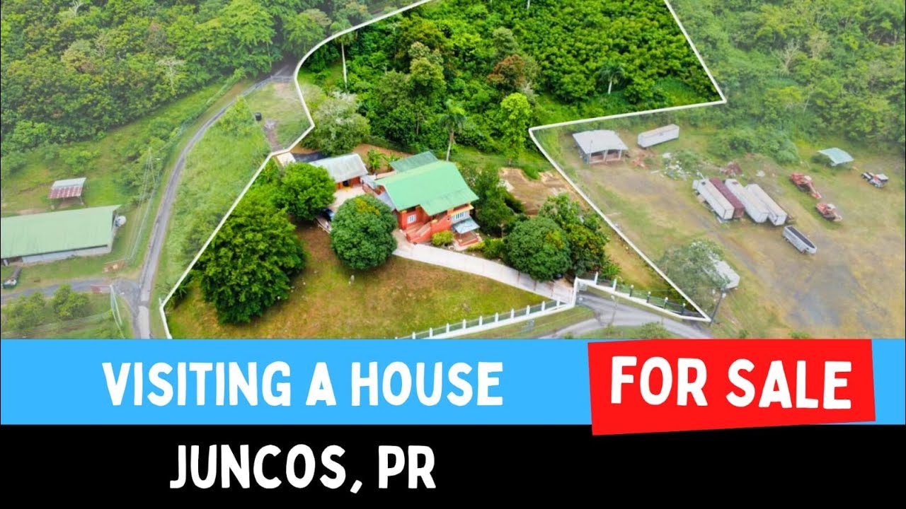 ¿Te Imaginas Vivir con Esta Vista en Juncos?