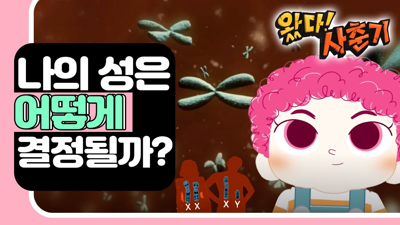 [EBS놀이터] 왔다! 사춘기🙌🏼｜나의 성은 어떻게 결정될까?｜사춘기｜2차 성징｜EBS키즈