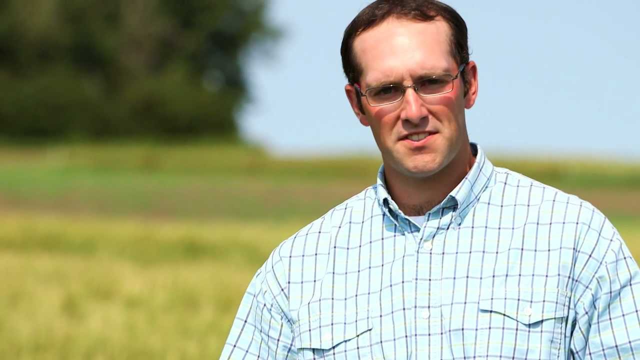 ALES Programs -- Ag (crop sciences)