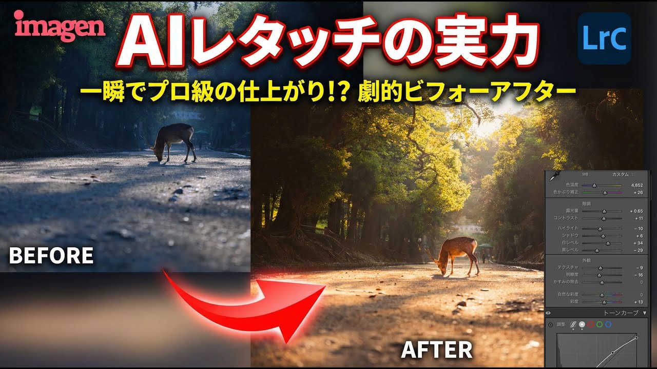 Lightroomを使っている方必見。自分の「色」を学習する写真レタッチソフト「Imagen」が凄すぎた。