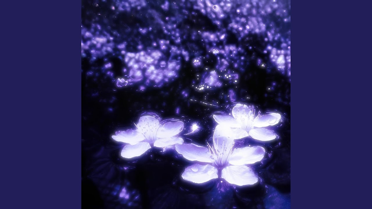 midnight bloom (ultra slowed)