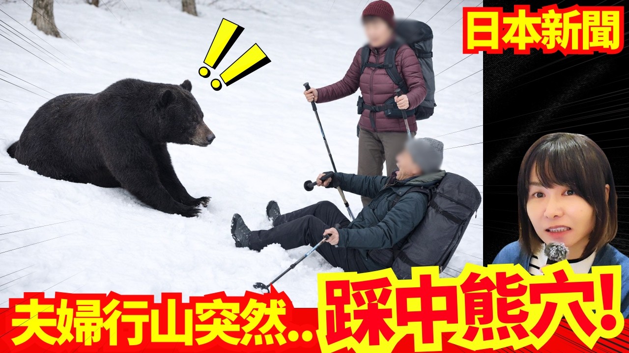 【日本突發🚨】日本夫婦行山突然踩中熊穴 、之後...！富士山封山期間外國登山客又出事？#日本新聞 #熊 #日本熊 #熊出沒 #熊危機 #日本自駕遊 #旅遊 #廣東話 #粵語  #日本自由行 #在日港人