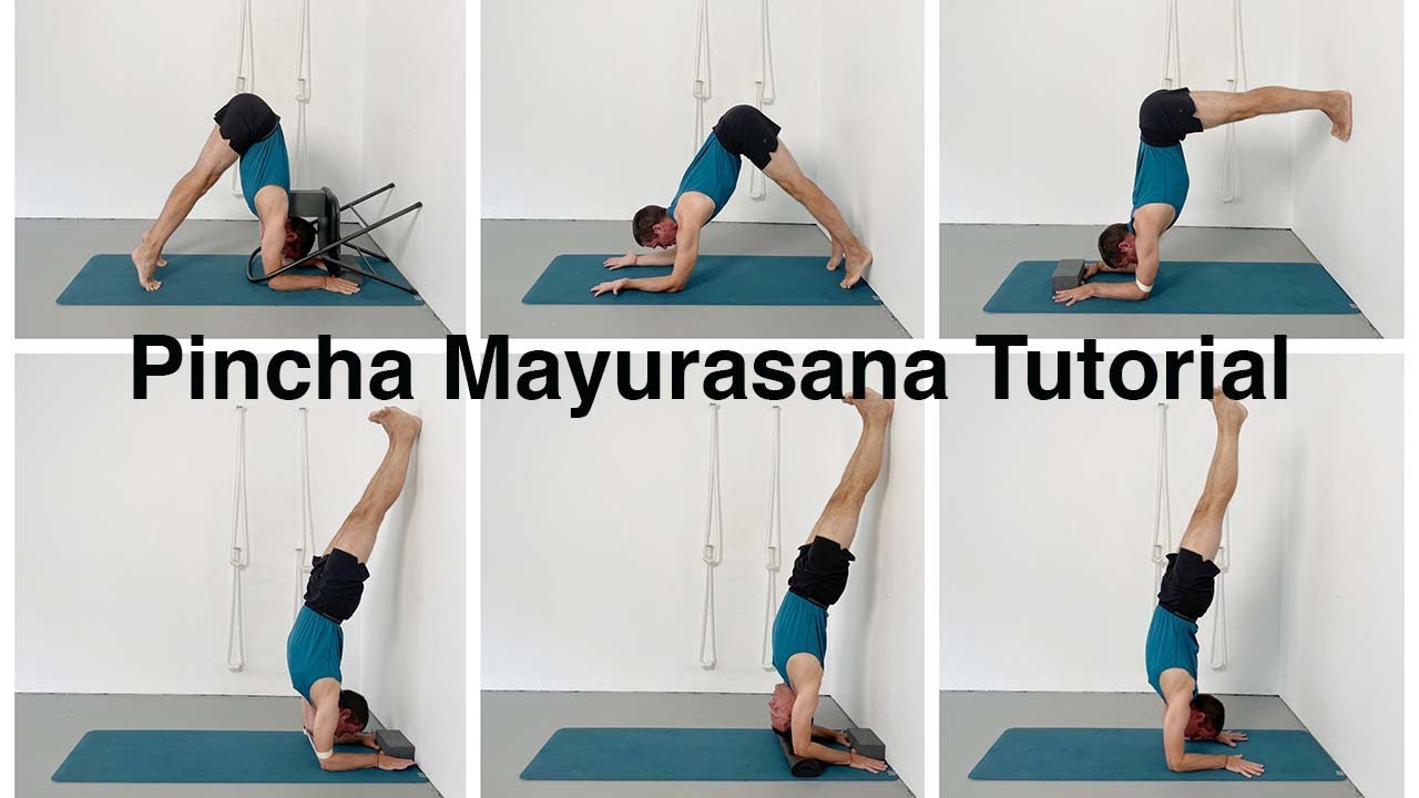 Pincha Mayurasana (Feathered Peacock or Forearm Balance) Tutorial