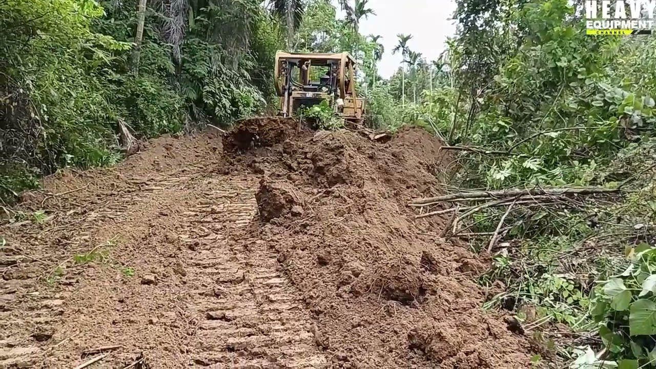 Awesome Job! Caterpillar D6R XL Bulldozer Operators Work to Widen Roads on a Plantation