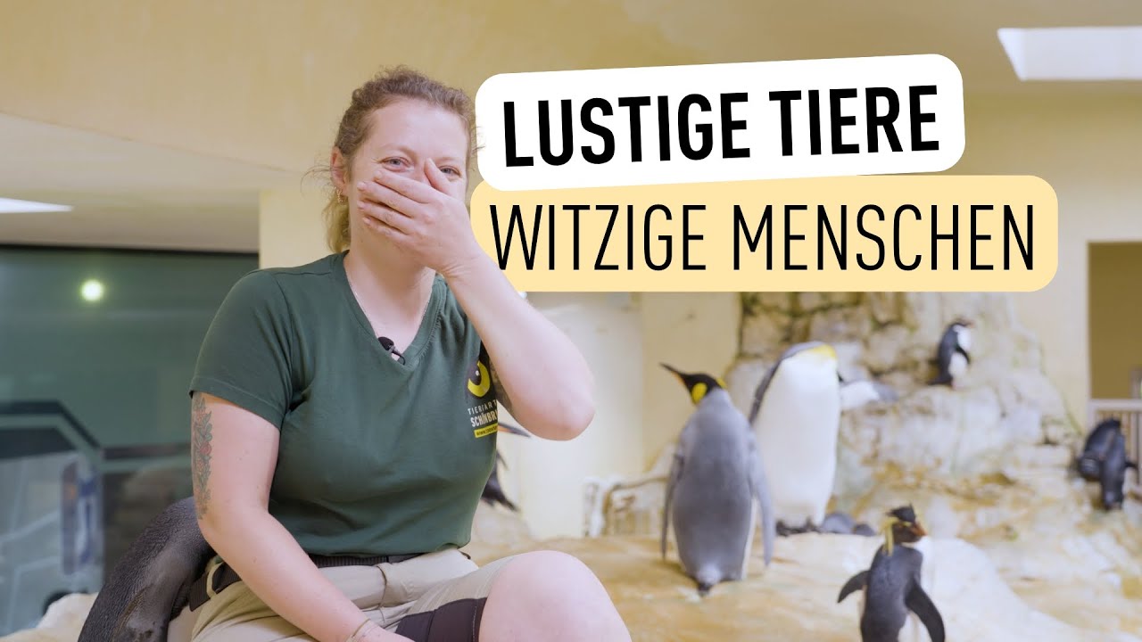 Outtakes 2025 I Tiergarten Schönbrunn