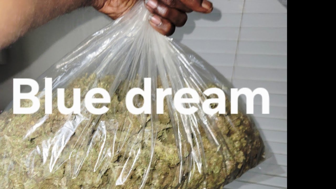 GOT A WHOLE LB OF BLUE DREAM FOR 225 AT TSB