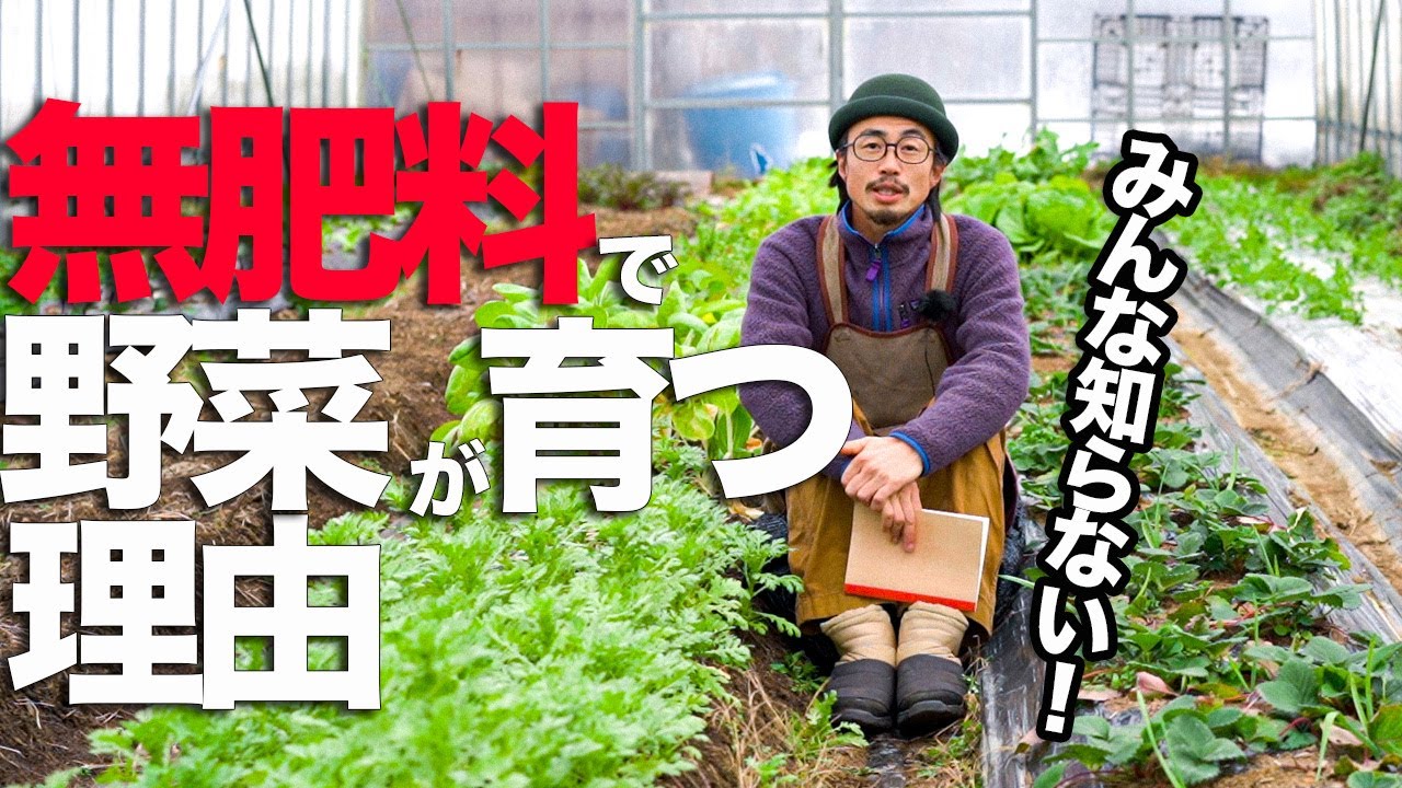 【無肥料栽培の第一歩】科学肥料なしで野菜が育つ理由を自然栽培農家が解説