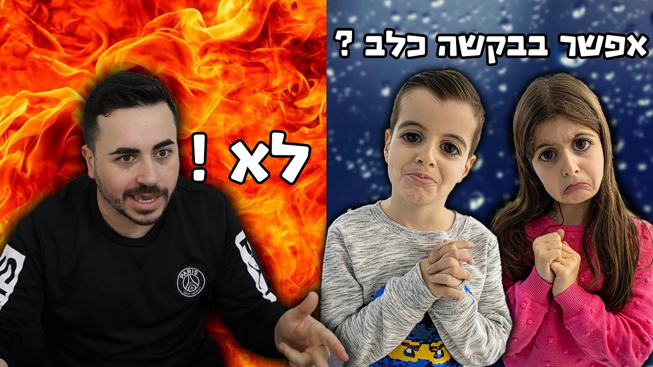 אלין ואלרועי רוצים לאמץ כלב ומיכאל לא מסכים ?!
